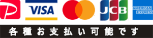 支払可能な内容の画像