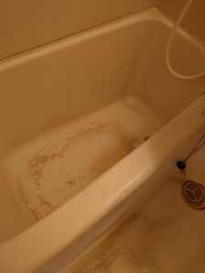川崎市宮前区 空室クリーニング②4