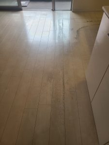 マンション全体クリーニング&剥離作業6