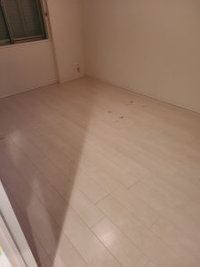 マンション全体クリーニング&剥離作業19