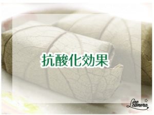 フィトンチッド6